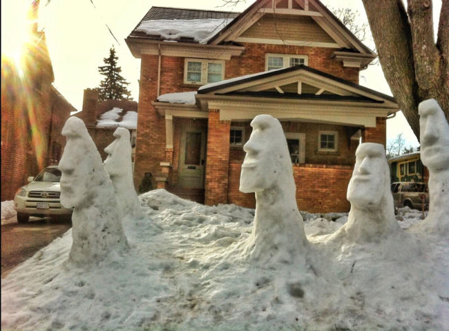After the snow storm, these dudes popped up on our lawn!