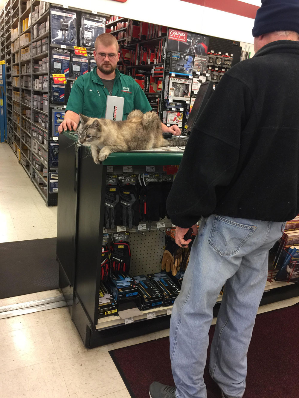 Old dude brought a giant cat into auto parts store and plopped it on counter when it was his turn