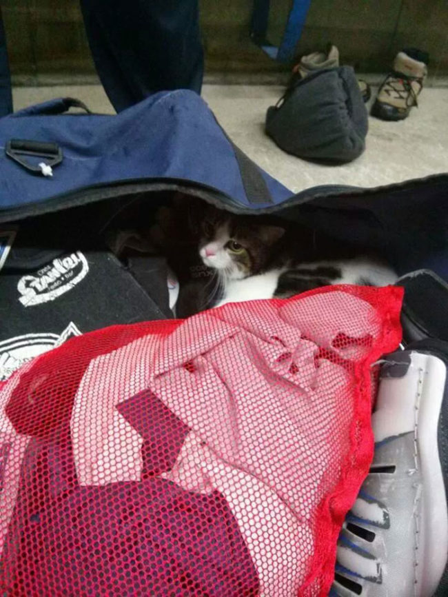 My friend went to hockey practice, didn't check his bag before leaving and found this while in the locker room