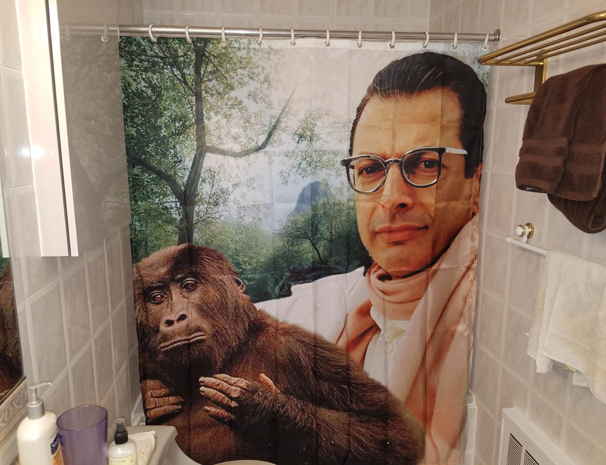 So we got a new shower curtain