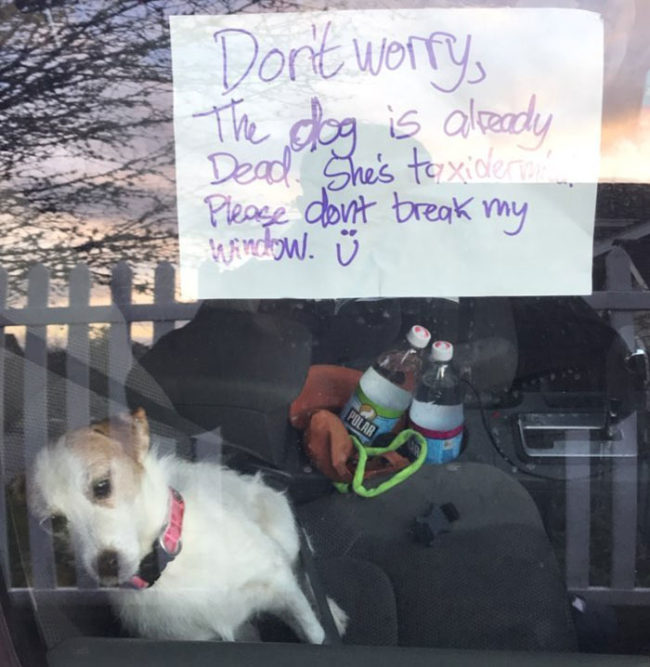 Please don't break my window
