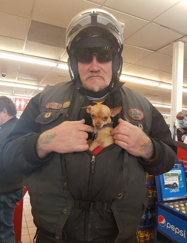 This is the president of a biker group. The guy, not the dog
