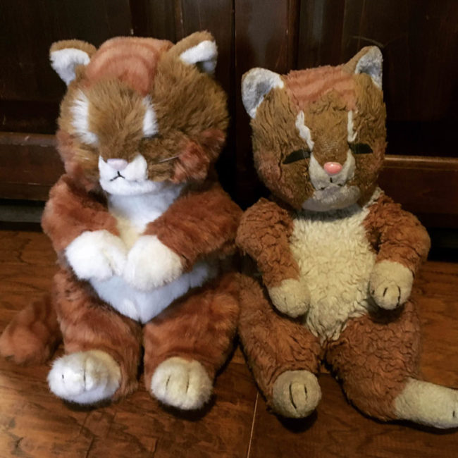 In 1995, my great-aunt gave me a stuffed cat. It was my absolute favorite, and slept with me every night through my childhood. When she passed, we found out she had bought an identical cat and kept it in pristine condition for two decades. The years of love certainly left their mark