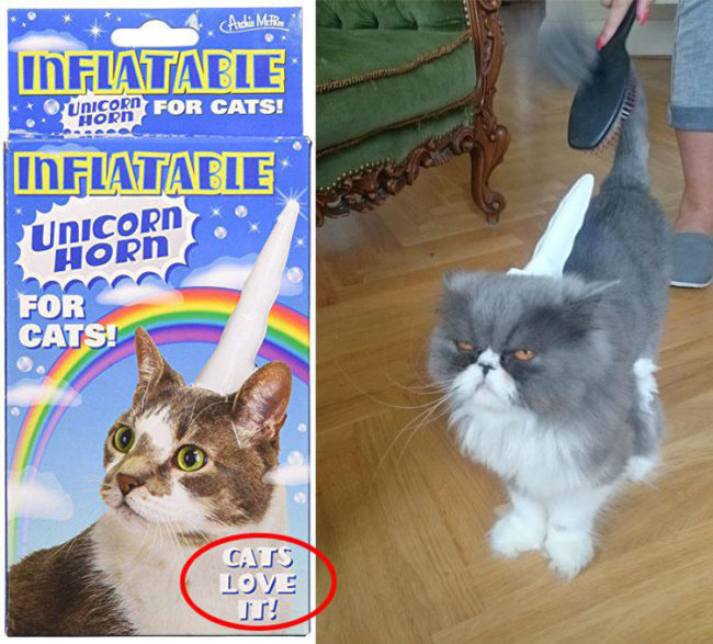 Inflatable Unicorn Horn - Cats love it!