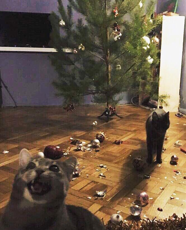 Our ornaments never make it to Christmas day