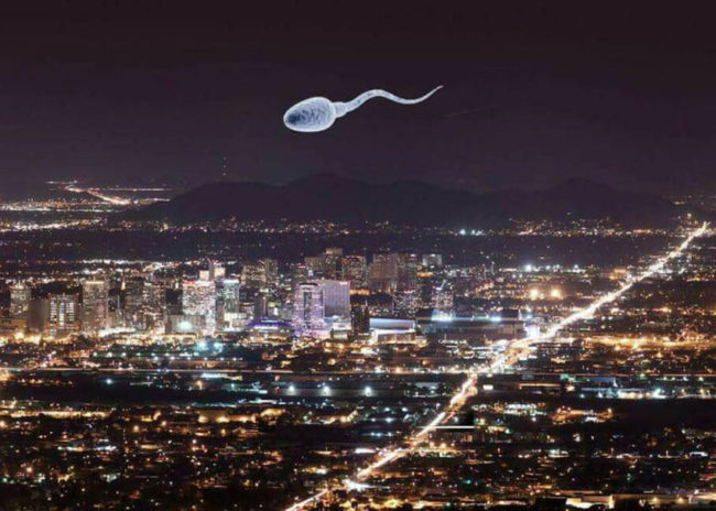 Stunning pic of SpaceX launch over Los Angeles!