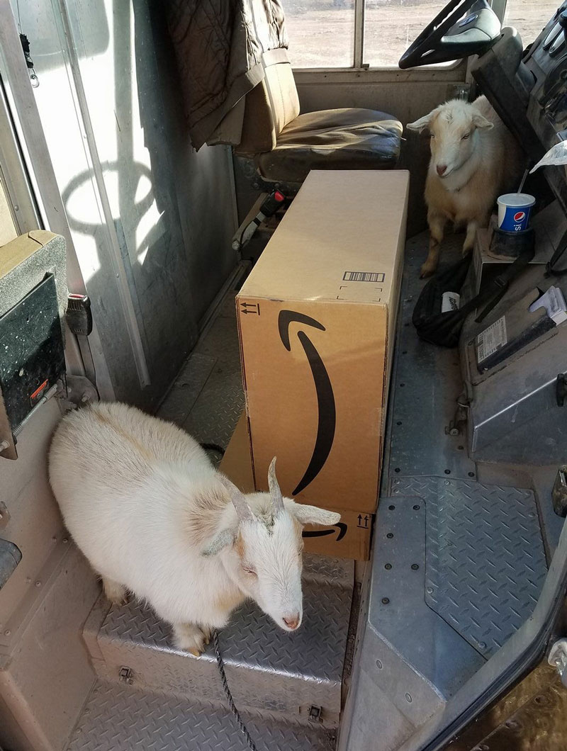 My dad is a UPS driver in Wyoming. This was his truck after returning from a delivery