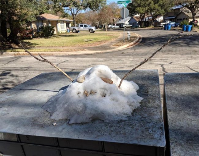 The kids in my neighborhood in Austin TX did the best they could after it snowed last night