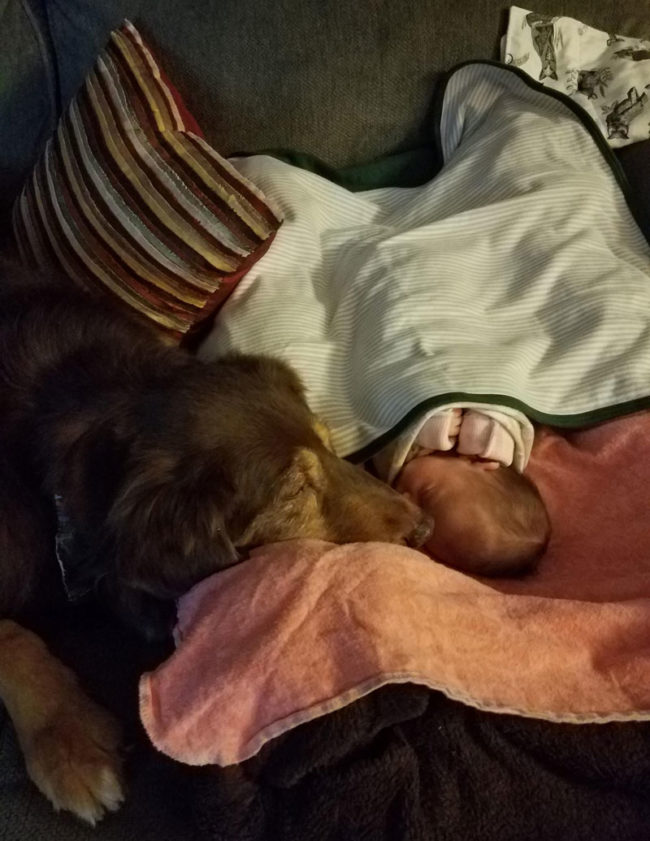 My daughter was born premature and after 11 days in the hospital we got to take her home to this