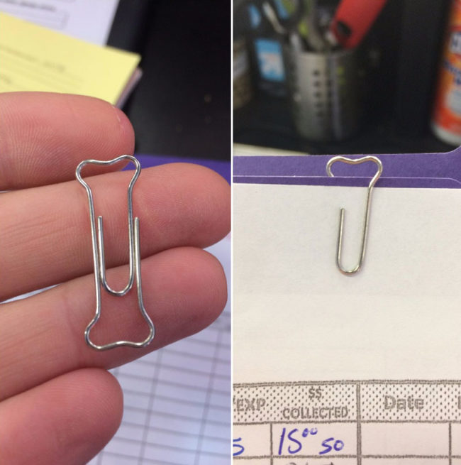Friend works at a dog kennel. She has custom bone paper clips