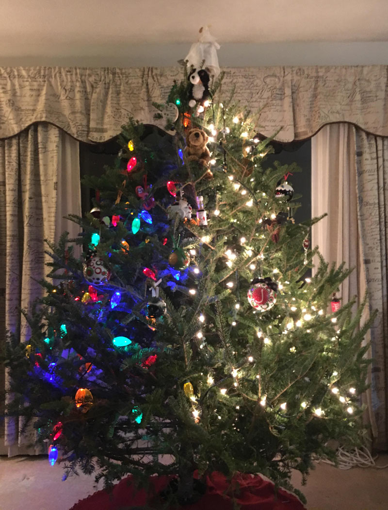 My wife and I don't agree on how to decorate a tree. 4 years ago we started this as a joke and it is still going strong