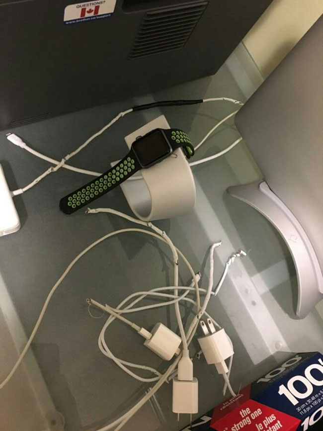 I am convinced Apple puts catnip in their cables
