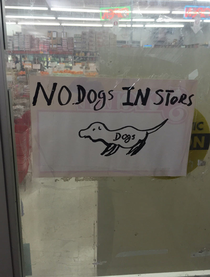 No Dogs In Store