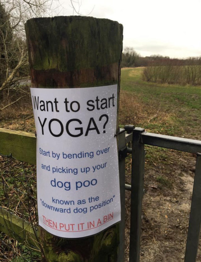 Want to start yoga?