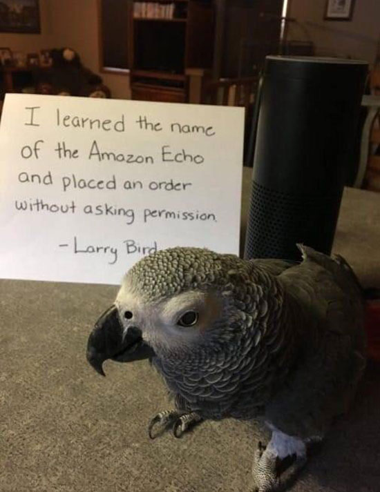 Larry is going places