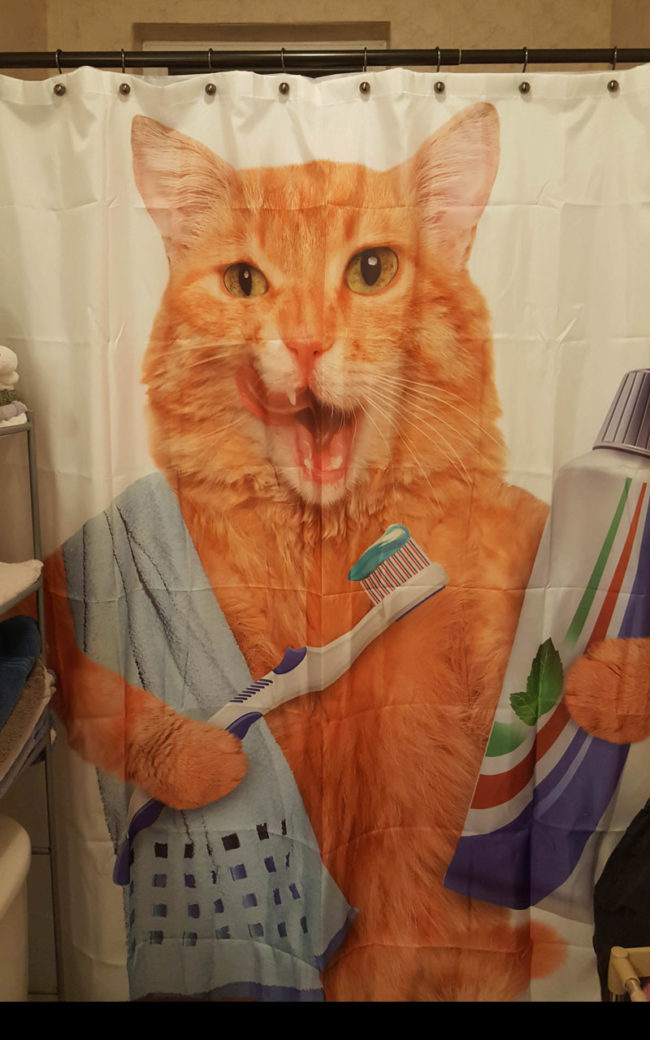 The wife doesn't approve of the shower curtain i picked out