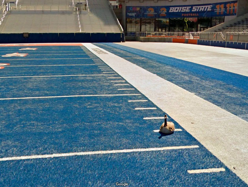 We have a blue football field. It confuses out-of-towners