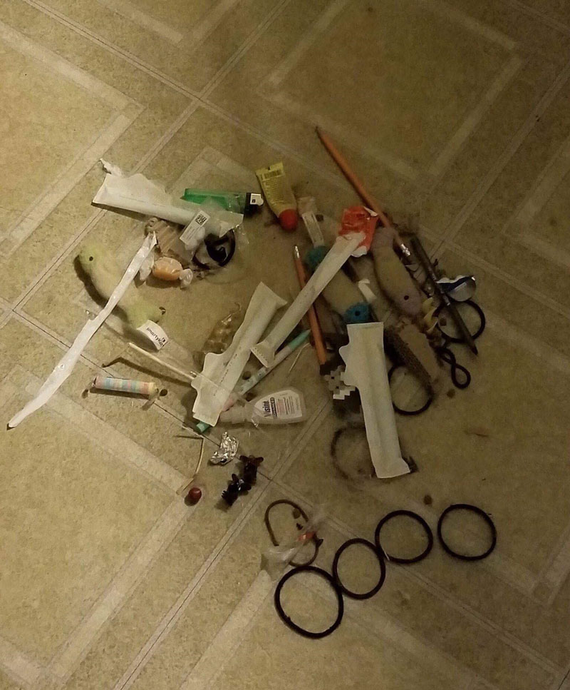 My sister in law caught her cat stealing from her purse, and decided to follow her to see where she was going. This is what she found behind the stove, where she has been hiding her loot