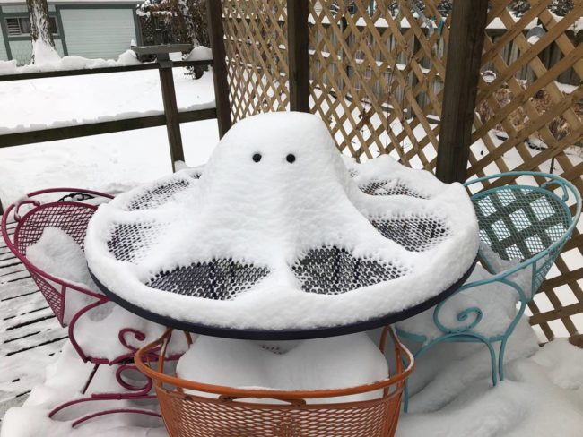 Snow Octopus