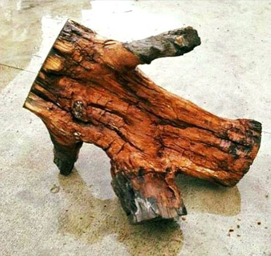 I just lost a breakdancing contest to a log