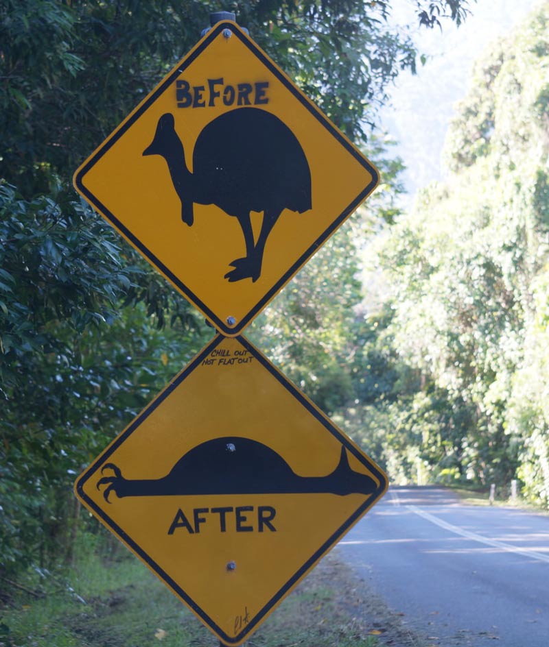 This road sign north of Cairns, Australia