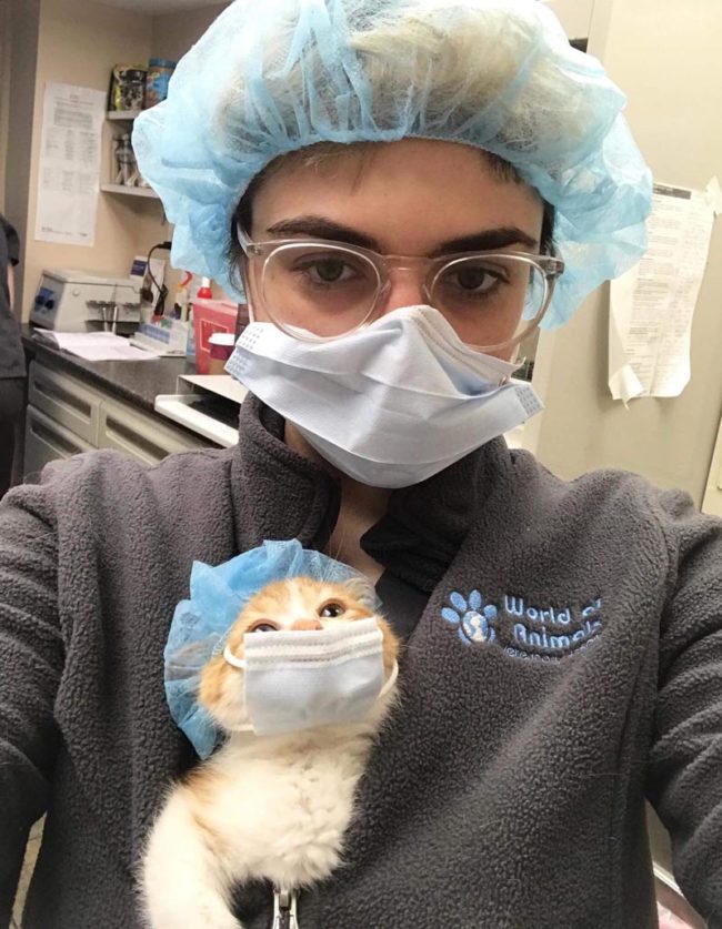 Vet’s mew surgical assistant