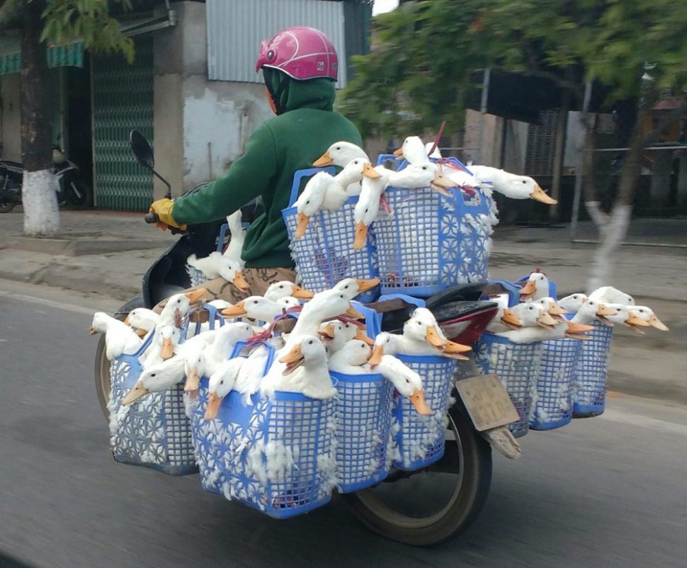 Coolest ducking motorcycle you’ve ever seen! | Odd Stuff Magazine