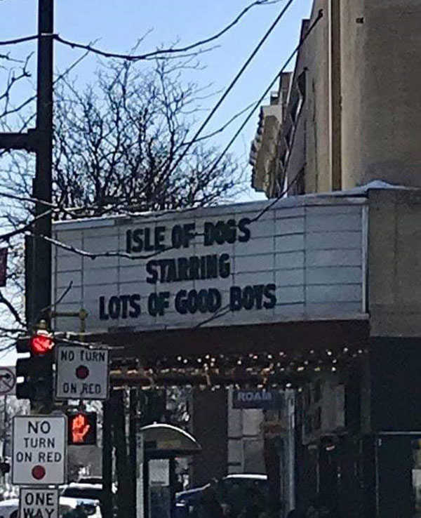 This Isle of Dogs marquee at my local cinema