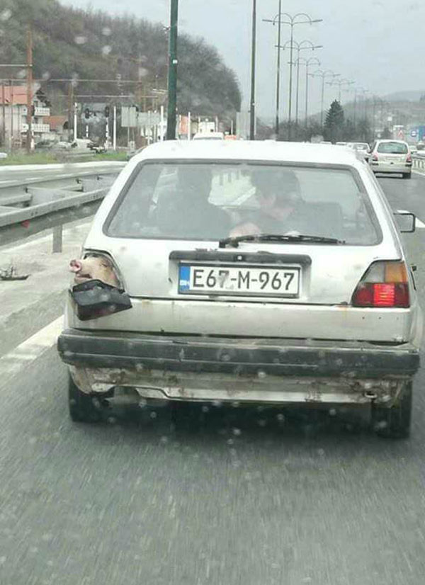 Meanwhile in Bosnia..