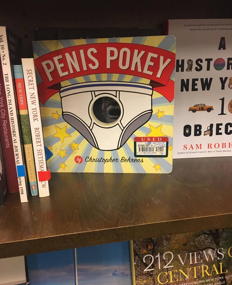 I found this in a book store, in the “used” section