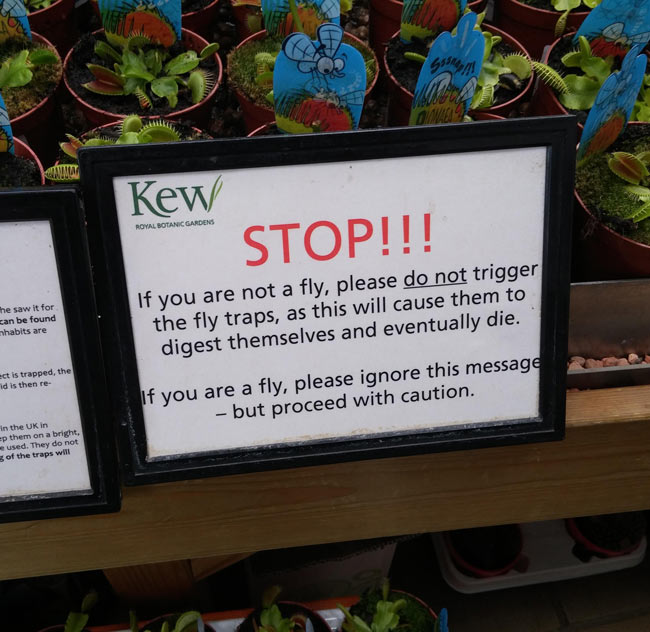 This sign in front of a bunch of Venus Flytraps
