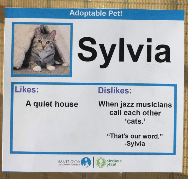 All adoption profiles should be like this