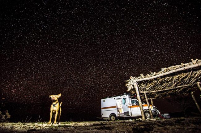 Dog, car and stars. What living in a van down by the river is really like