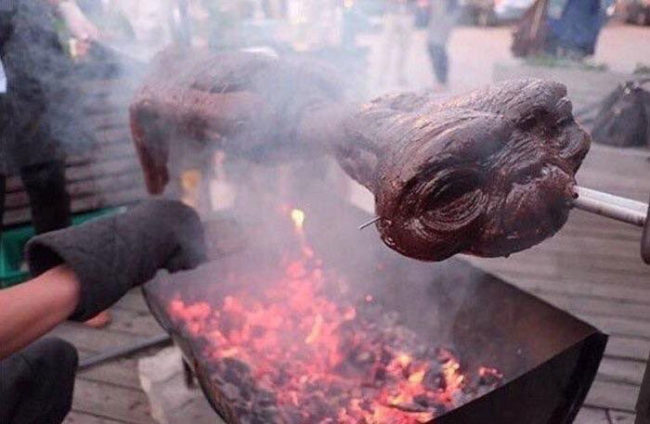 E.T. Never got home!