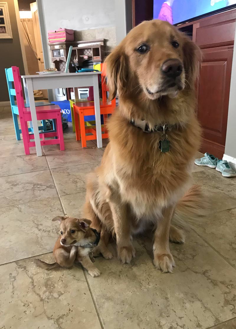 He’s not sure about his new little buddy