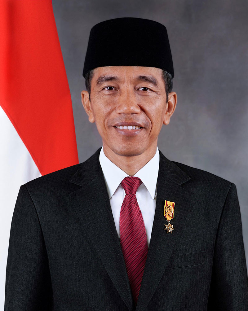  President  of Indonesia  looks like the Asian Obama Odd 