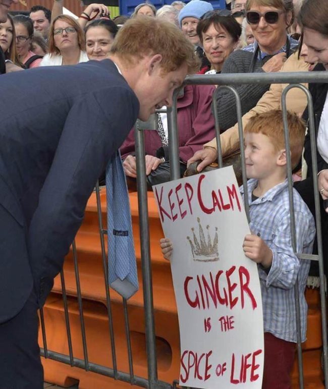 Prince Harry meets a ginger