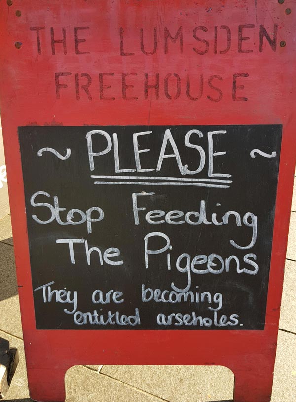 Stop feeding the pigeons