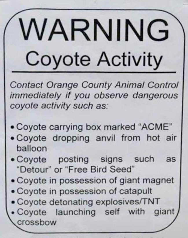 Warning: Coyote Activity