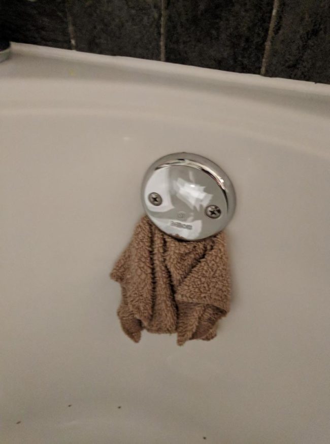 My wife blocked the bath drain with a facecloth and inadvertently gave life to an adorable creature