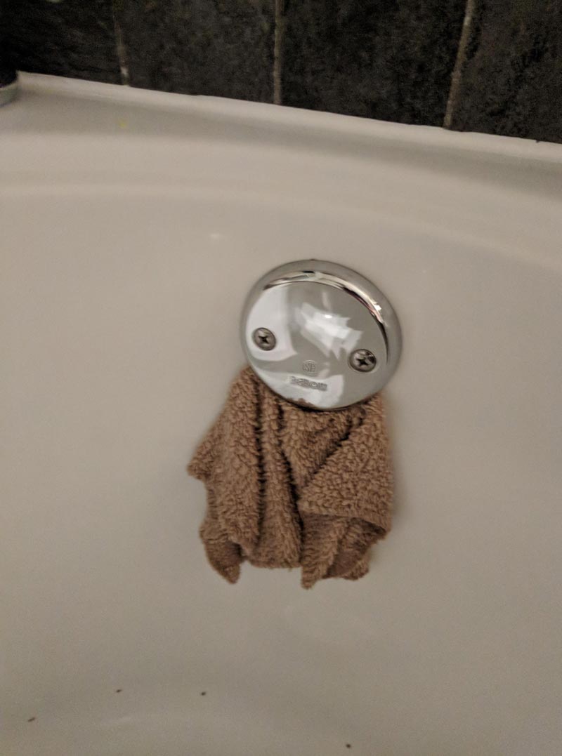 My wife blocked the bath drain with a facecloth and inadvertently gave life to an adorable creature