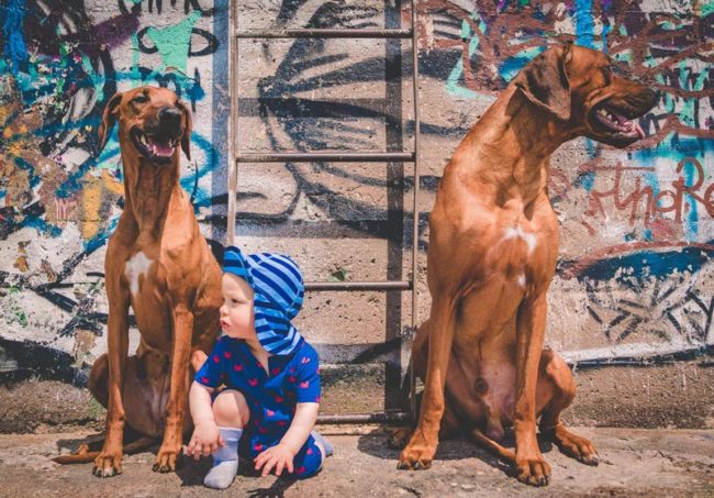 My kid and dogs might be about to drop the hottest rap album of the year