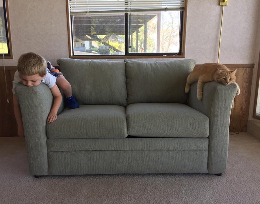 Kid is acting like the cat now