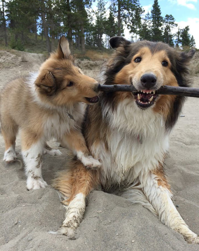 Assistant Branch Manager