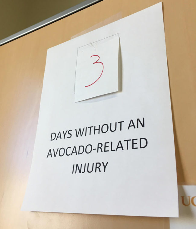 My coworker cut her hand open making avocado toast and had to get stitches. Today, I had this ready in her office when she came into work