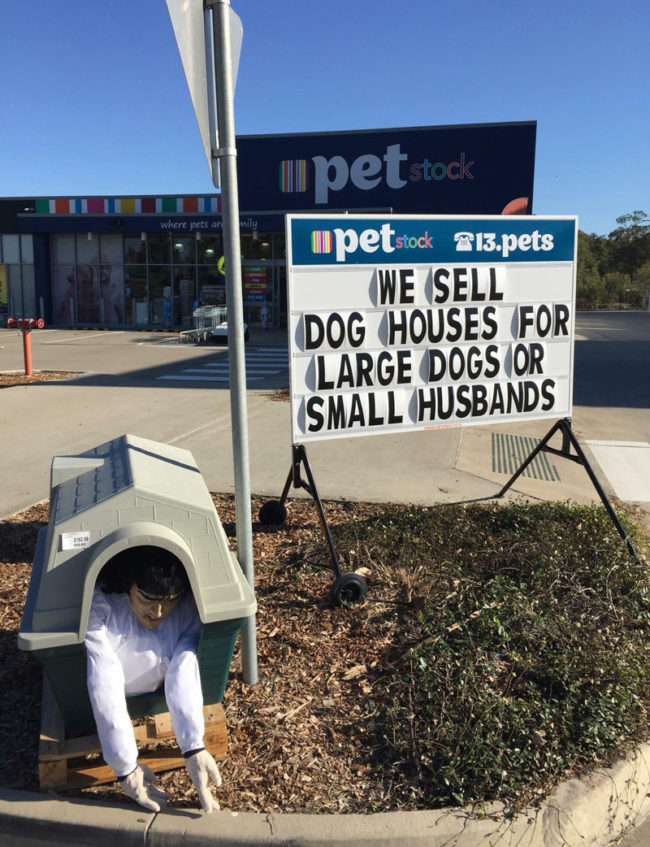 Local pet store advertising