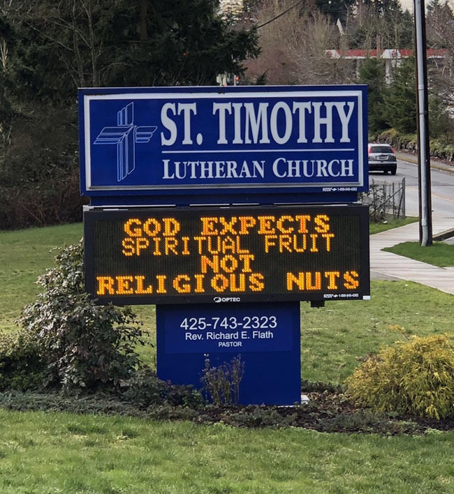 God expects spiritual fruit..