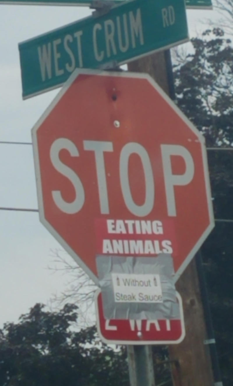 This stop sign in my town