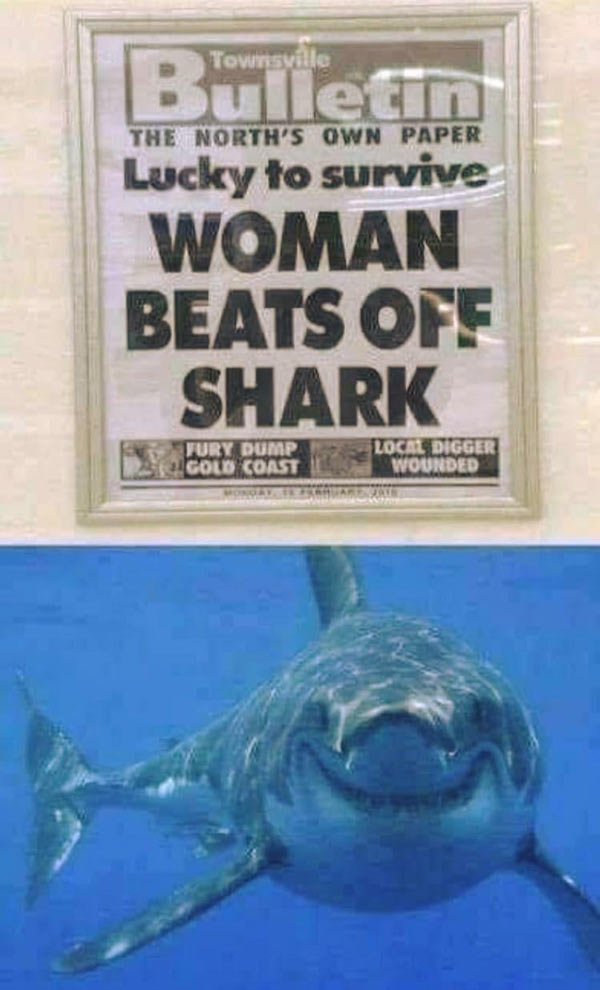 Woman beats off shark