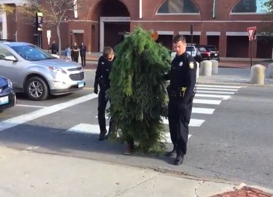 Guy dressed as a tree arrested for blocking traffic